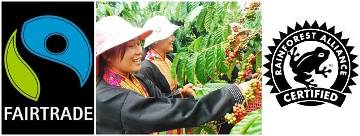Parimad kohvioad - Fairtrade ja Rainforest Alliance sertifikaadiga kohvioad teadlikule kohvisõbrale 26 Kohvioad Fairtrade